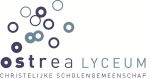 Draaiboek afstandsleren